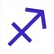 Sagittarius Zodiac Sign Shape Stencil | Wall Stencil | High School Senior Parking Spot | Reusable | Stencil Ease |